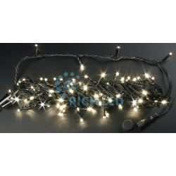 Гирлянда светодиодная белая с мерцанием 24B, 100 LED, провод черный, IP54 RL-S10CF-24V-B/WW
