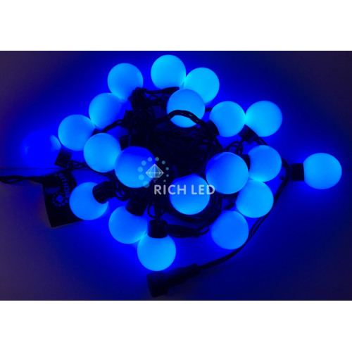 Гирлянда светодиодная синяя постоянного свечения 220B, 20 LED, провод черный, IP65 RL-S5-20C-40B-B/B