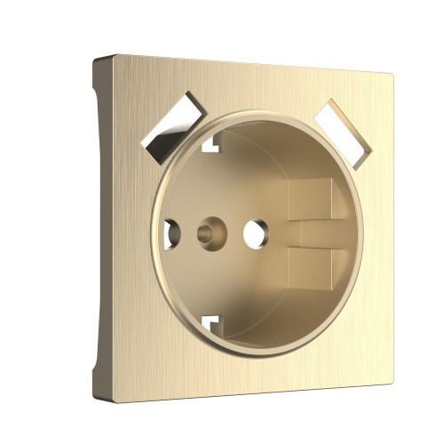 Накладка для розетки USB (шампань рифленый) W1179510 (a051422)