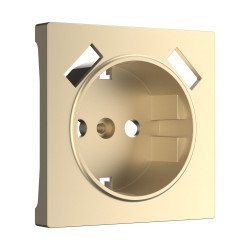 Накладка для USB розетки (шампань) W1179511 (a050854)