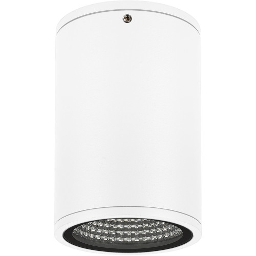 Уличный потолочный светильник светодиодный защищенный LGD-FORMA-SURFACE-R90-12W Day4000 (WH, 44 deg, 230V) (Arlight, IP54 Металл, 3 года) 037259