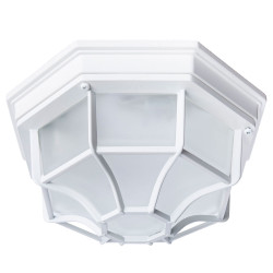 Уличный потолочный светильник Artelamp Pegasus A3100PL-1WH