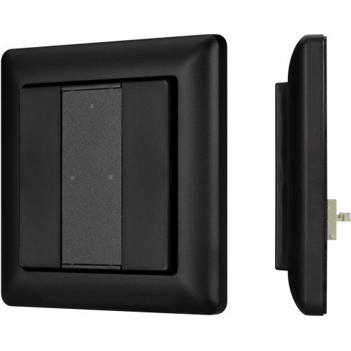 INTELLIGENT Панель DALI-223-2K-D2-IN-BLACK (BUS, Free purpose) (IARL, -) 032504