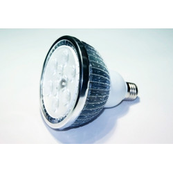 Лампочка светодиодная LC-PAR30-E-27-12W-WW