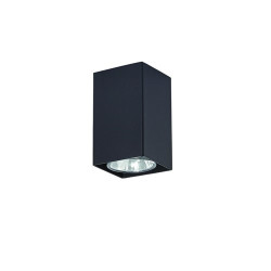 Накладной светильник Nero 499/G