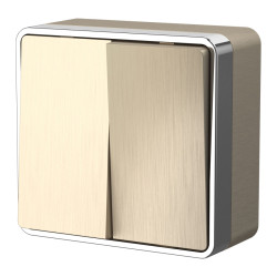 Выключатель двухклавишный Gallant (шампань рифленый) W5020010 (a051044)