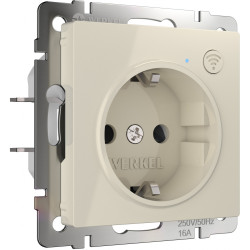 Розетка Wi-Fi (слоновая кость) W1171603 (a056421)