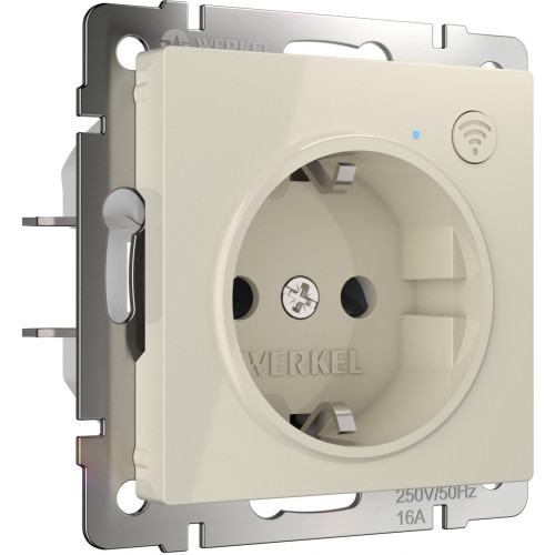Розетка Wi-Fi (слоновая кость) W1171603 (a056421)