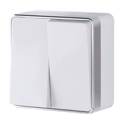 Выключатель двухклавишный Gallant (белый) W5020001 (a051592)