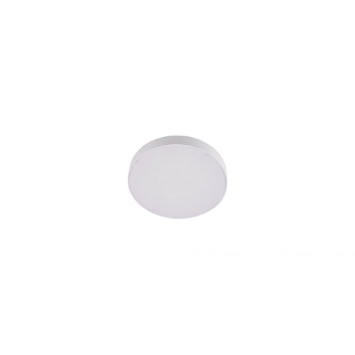 Потолочный светильник светодиодный Wilton LDC 8099-ROUND-PM-24WSMD-D175*H3