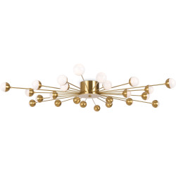 Потолочная люстра Freya Celebrity FR5242CL-24BS