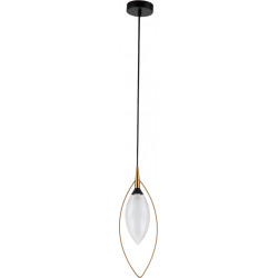 Подвесной светильник Fiore V000142 (13001/1P Black)