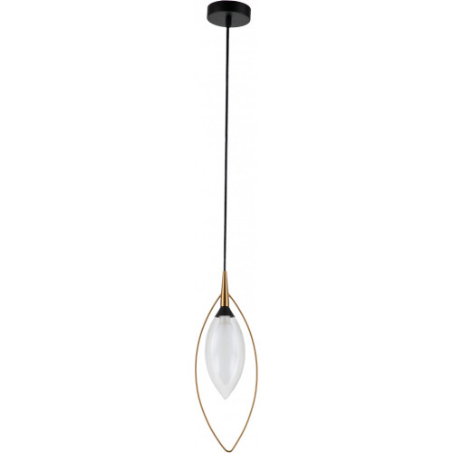 Подвесной светильник Fiore V000142 (13001/1P Black)