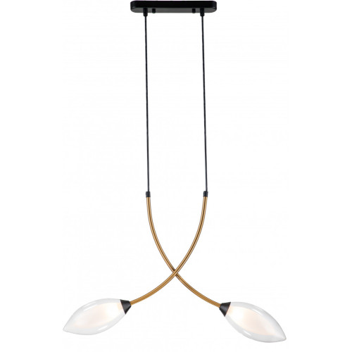 Подвесной светильник Fiore V000140 (13001/2P Black)