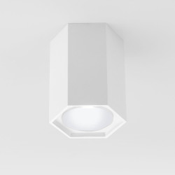Накладной светильник светодиодный 25037/LED 25037/LED