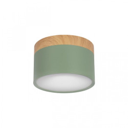 Накладной светильник Grape 10162 Green