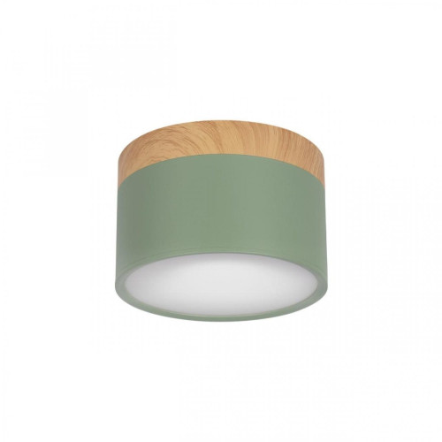 Накладной светильник Grape 10162 Green