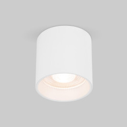 Светильник потолочный светодиодный Elektrostandard Orson 25034/LED
