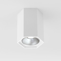 Точечный светильник 25036/LED 25036/LED