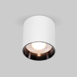 Светильник потолочный светодиодный Elektrostandard Orson 25034/LED