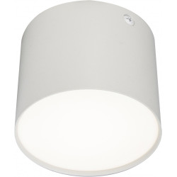 Накладной светильник светодиодный 20004 20004SMU/01LED SWH