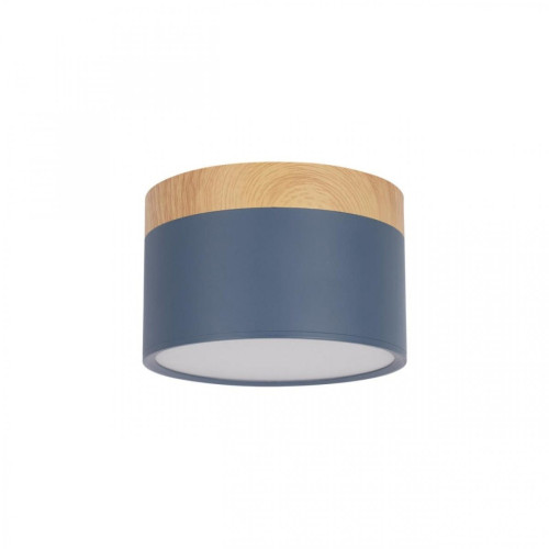 Накладной светильник Grape 10162 Blue