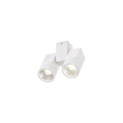 Спот светодиодный Dubl CL556100
