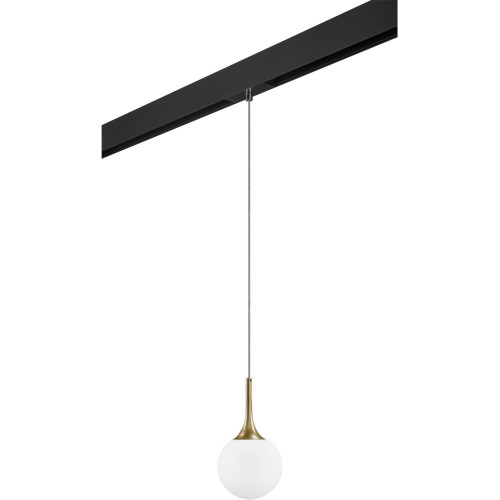 Трековый светильник однофазный 220V Lightstar Globo PRO813013