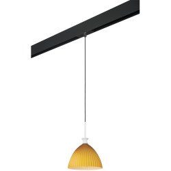 Трековый светильник однофазный 220V Lightstar Agola PRO810023