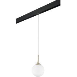 Трековый светильник однофазный 220V Lightstar Globo PRO813023