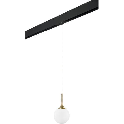 Трековый светильник однофазный 220V Lightstar Globo PRO813012