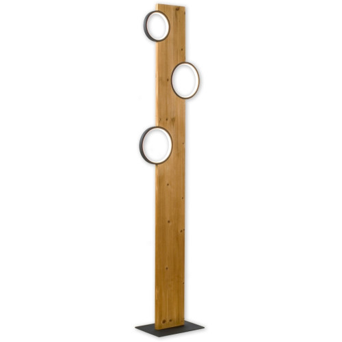 Торшер Lussole Modesto LSP-0905