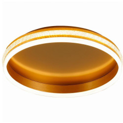 Потолочный светильник светодиодный Shinning ring 41694