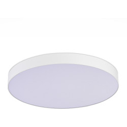 Потолочный светильник ST Luce ST606.542.96
