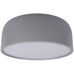 Потолочный светильник Axel 10201/350 Grey