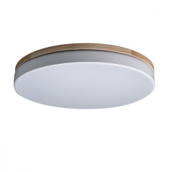 Потолочный светильник светодиодный Axel 10001/36 White