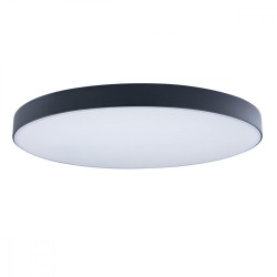 Потолочный светильник светодиодный Axel 10002/48 Black