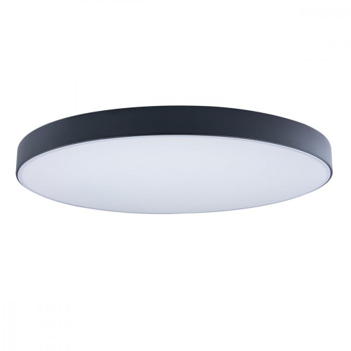 Потолочный светильник светодиодный Axel 10002/48 Black