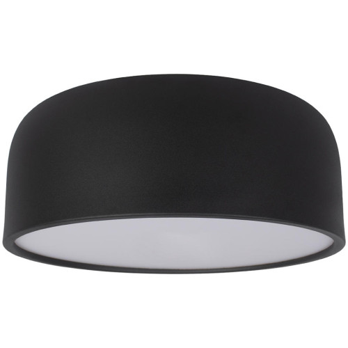 Потолочный светильник Axel 10201/350 Black