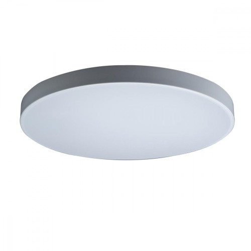 Потолочный светильник светодиодный Axel 10002/48 White