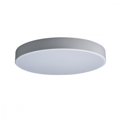 Потолочный светильник светодиодный Axel 10002/24 White