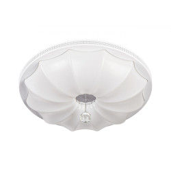 Потолочный светильник 10231/S LED