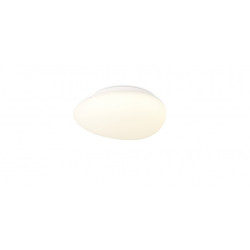 Потолочный светильник светодиодный 1205-LED12CL