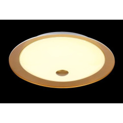 Потолочный светодиодный светильник Euler CL815-PT50-G