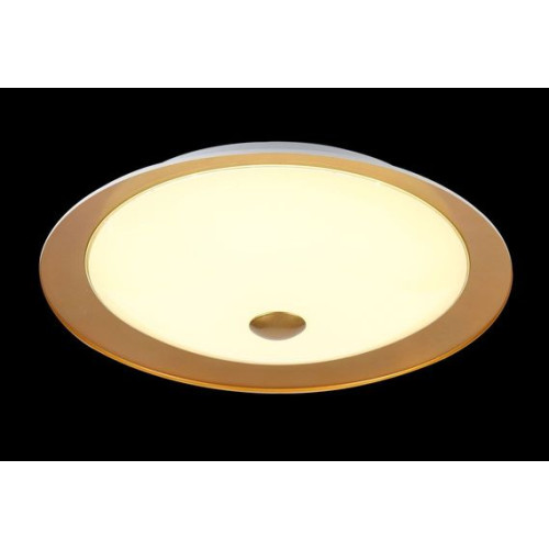 Потолочный светодиодный светильник Euler CL815-PT50-G