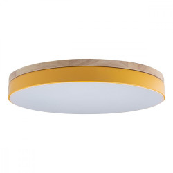 Потолочный светильник светодиодный Axel 10001/36 Yellow