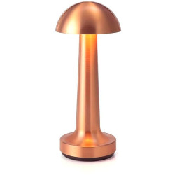 Настольная лампа L'Arte Luce Cooee L42633.93 rose gold