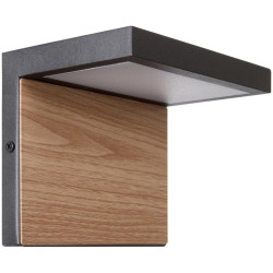 Уличный настенный светильник Loft It Oak 100001W