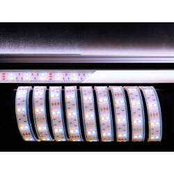Светодиодная лента SMD5050 621362