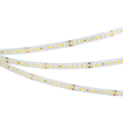 Светодиодная лента RT-A144-10mm 24V White6000 (7.7 W/m, IP20, 2835, 5m) (Arlight, высок.эфф.200 лм/Вт) 038783